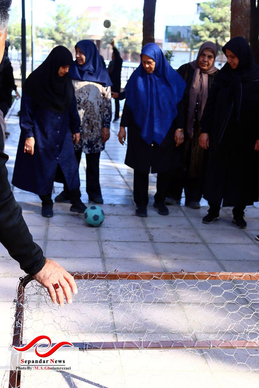 برگزاری همایش پیادهروی و بازیهای تعادلی سالمندان در رفسنجان به مناسبت هفته تربیت بدنی