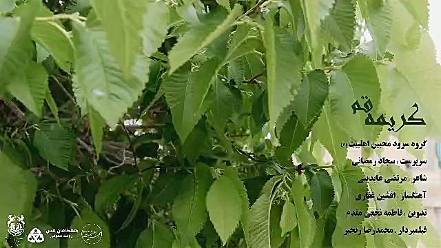 نماهنگ کریمه قم