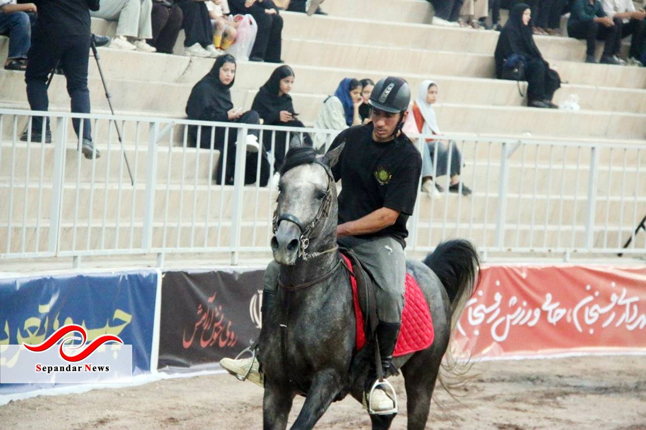 شکوه، اصالت، زیبایی و هنر اسب و سوار

گزارش تصویری از شو سواره اصیل اسبان ایرانی

26 و 27 شهریورماه 1405 
رفسنجان ، موزه ریاست جمهوری ،مجموعه ورزشی دانشگاه ولیعصر(عج)