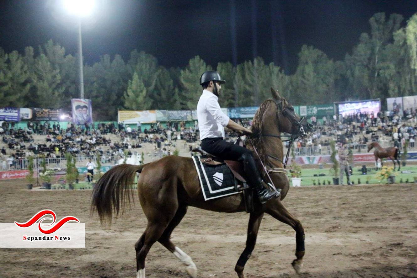 گزارش تصویری از شو سواره اصیل اسبان ایرانی